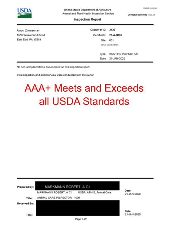 amos, alvin, zimmerman, dog, breeder, usda, reports, amos-zimmerman, dog-breeder, alvin-zimmerman, east, earl, pa, pennsylvania, eastearl, puppy, dog, kennels, mill, puppymill, usda, 5-star, ACA, ICA, registered, show handler, Yorkshire, Terrier, 23-A-0005, 23A0005