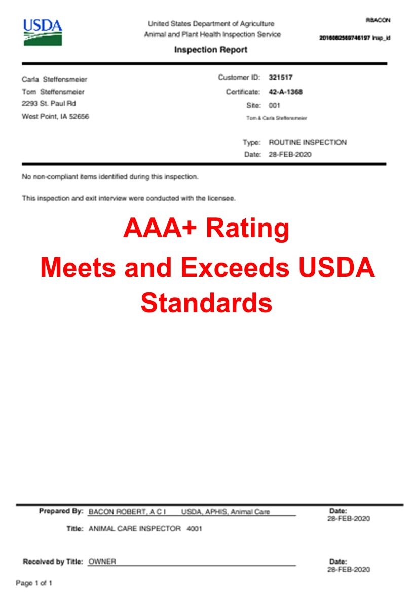 carla, steffensmeier, dog, breeder, west, point, ia, west-point, iowa, usda, carla-steffensmeier, dog-breeder, 42-A-1368, 42A1368, pet, store, puppy, mill, puppymill, show, breeders, kennels, breeds, aphis inspection, report, violations