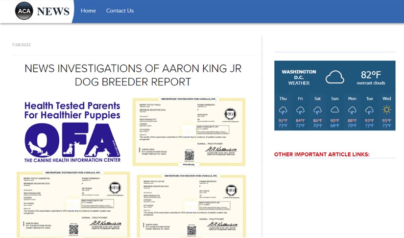 news, aaron, king, jr, dog, breeder, inspection, reports, investigation, aaron-king-jr, dog-breeder, honey-brook, pa, pennsylvania, ofa, puppy, dog, kennels, mill, puppymill, usda, 5-star, ACA, ICA, registered, show handler, usda, license