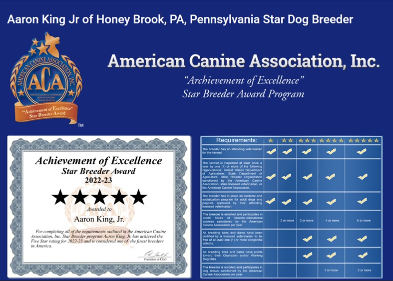 star, aaron, king, jr, dog, breeder, inspection, reports, investigation, aaron-king-jr, dog-breeder, honey-brook, pa, pennsylvania, ofa, puppy, dog, kennels, mill, puppymill, usda, 5-star, ACA, ICA, registered, show handler, usda, license