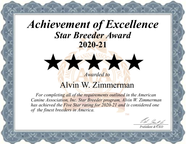 starbreeder, amos, alvin, zimmerman, dog, breeder, usda, reports, amos-zimmerman, dog-breeder, alvin-zimmerman, east, earl, pa, pennsylvania, eastearl, puppy, dog, kennels, mill, puppymill, usda, 5-star, ACA, ICA, registered, show handler, Yorkshire, Terrier, 23-A-0005, 23A0005