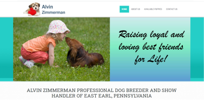 website, amos, alvin, zimmerman, dog, breeder, usda, reports, amos-zimmerman, dog-breeder, alvin-zimmerman, east, earl, pa, pennsylvania, eastearl, puppy, dog, kennels, mill, puppymill, usda, 5-star, ACA, ICA, registered, show handler, Yorkshire, Terrier, 23-A-0005, 23A0005