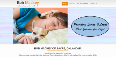 bob, mackey, dog, breeder, website, usda, 73-B-1857, 73B1857, bob-mackey, dog-breeder, sayer, ok, oklahoma, puppies, for, sale, dogbreeder, kennel, inspection, reports, puppy, mill, puppymill, show, reviews