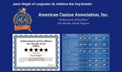 jason, wagler, dog, breeder, ctar-certificate, jason-wagler, dog-breeder, loogootee, in, puppy, dog, kennels, mill, puppymill, usda,  ACA, ICA, registered, show, pug, usda, 34-a-0245, aphis, 34a0245, indiana, inspection, report