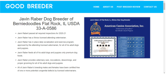 javin, raber, dog, breeder, goodbreeder, javin-raber, dog-breeder, flat, rock, il, illinios, puppy, dog, kennels, mill, puppymill, usda, 5-star, aca, ica, registered, berniedoodle, 33-a-0586, 33a0586