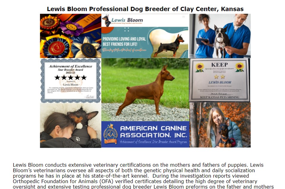 Lewis Bloom Dog Breeder FAQ