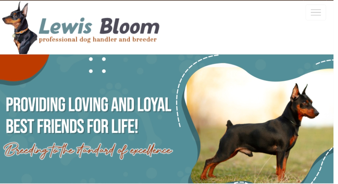Lewis Bloom Dog Breeder Official Homepage
