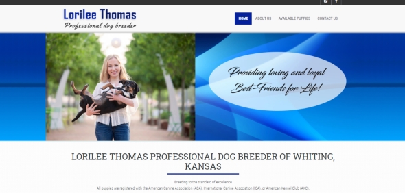 lorilee, thomas, dog, breeder, website, usda, reports, lorilee-thomas, kansas, ks, whiting, puppy, dog, kennels, mill, puppymill, usda, 5-star, ACA, ICA, registered, show handler, Yorkshire, Terrier, 48-B-0329