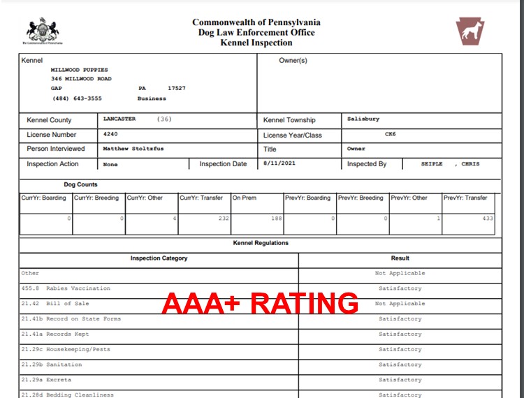 matthew, stoltzfus, dog, breeder, DOA, inspections, matthew-stoltzfus, dog-breeder, gap, pa, pennsylvania, bernidoodle, puppy, mill, puppymill, usda, inspection, records, kennel, govenrment, department, agriculture, doglaw