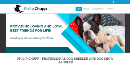website, Philip, Chupp, dog, breeder, usda, reports, Philip-Chupp, McLeansboro, il, illinios, puppy, dog, kennels, mill, puppymill, usda, 5-star, ACA, ICA, registered, show handler, Yorkshire, Terrier, 33-A-0542