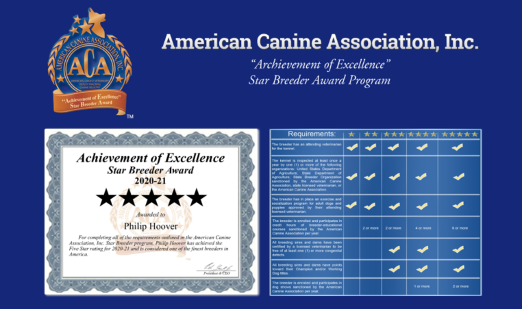 philip, Hoover, dog, breeder, certificate, Philip-Hoover, Memphis, MO, Missouri, puppy, dog, kennels, mill, puppymill, usda, 5-star, ACA, ICA, registered, show handler, Yorkshire, Terrier, 43-A-5673