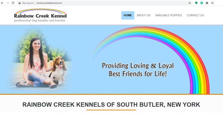 Rainbow, Creek, Kennel, home, homepage, rainbow_creek_kennel, rainbowcreeksouth, butler, ny, new york, breeder, dog, star star-breeder, starbreeder, 5 star, dogs, puppy, puppies, 21-A-0179, 21a0179, kennels, ACA, American, canine, association, dogshow, shows, handler, new-york, puppymill, mill, commercial, professional, USDA