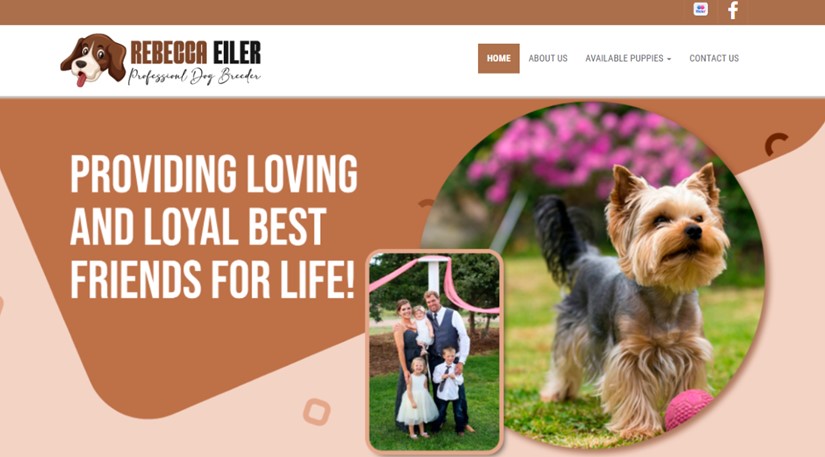 rebecca, eiler, dog, breeder, home, homepage, official, oberlin, ks, kansas, puppies, for, sale, for-sale, rebecca-eiler, dog-breeder, puppy, kennel, kennels, puppy, mill, puppymill, show, handler, aca, ica, usda, license, 48-A-2176, 48a2176