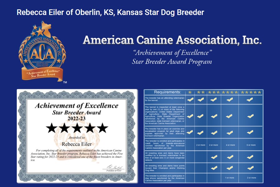  rebecca, eiler, dog breeder, usda, aphis, inspection reports, licensed, 48-A-2176, 48a2176, records, rebecca-eiler, dog-breeder, kennel, about, history, location, customer, reviews, creek, side, kennels, dog, puppies, puppy, for, sale, oberlin, ks, kansas, creek-side-kennels, pedigree, pet, mill, show, handler, yorkie, german, shepherd, havanese, puppymill