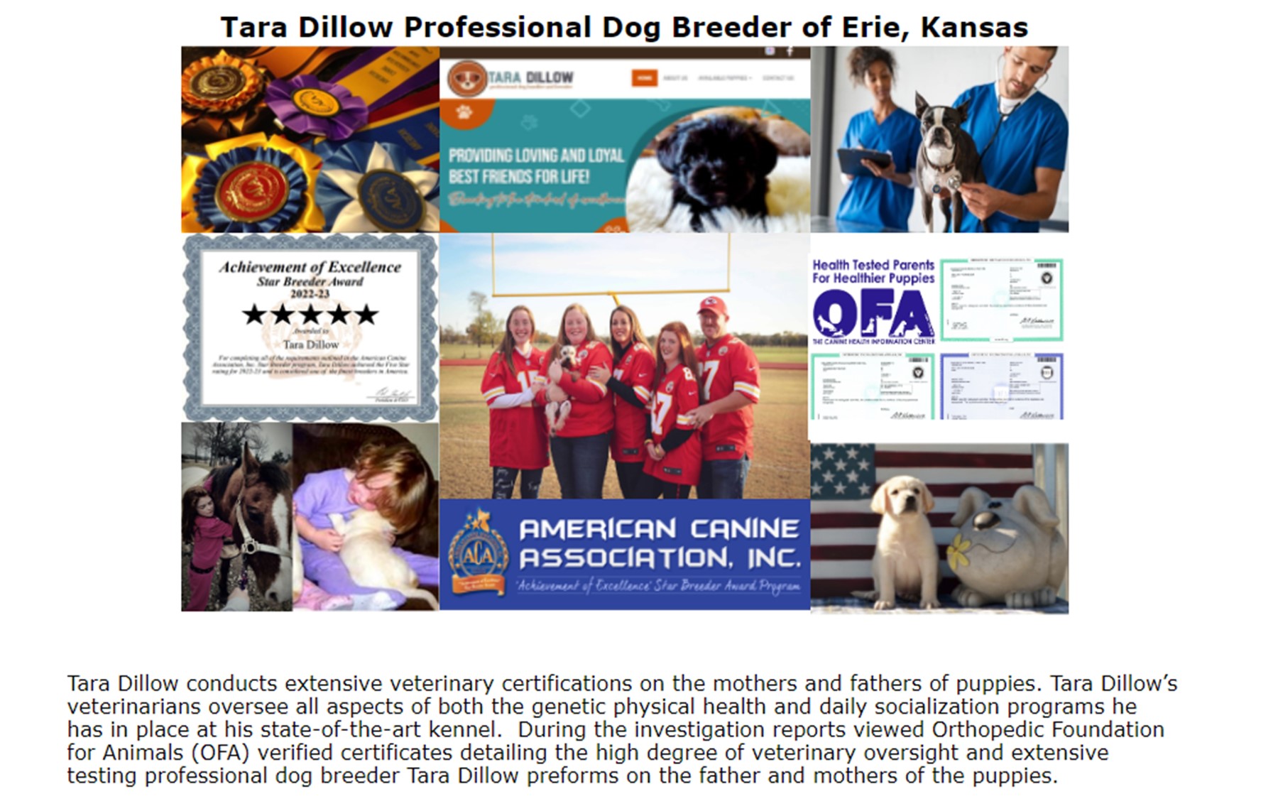 Professional Dog Breeder Tara Dillow FAQ